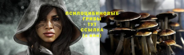 амф Аркадак