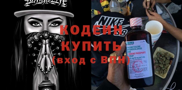 стаф Семилуки