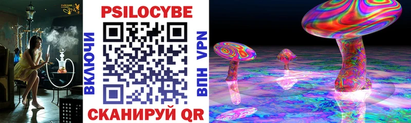 что такое наркотик  Новодвинск  Галлюциногенные грибы Cubensis 