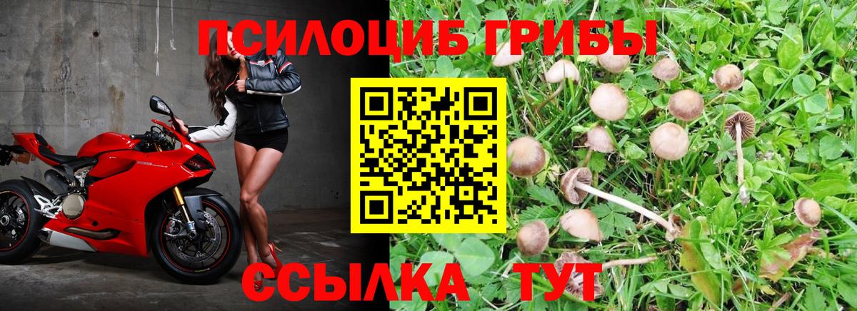 Новодвинск  Галлюциногенные грибы мухоморы  Вход с VPN 