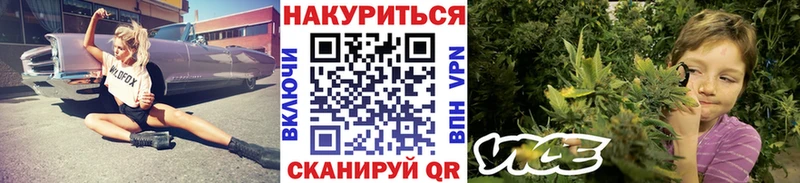 площадка наркотические препараты  ссылка на мегу ССЫЛКА  Новодвинск  Конопля Ganja 